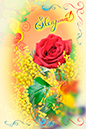 %_tempFileNamepostcard-8-marta-roses-mimoza-yellow%