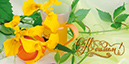 %_tempFileNamepostcard-yellow-iris-apelsin-s-yubileem-yellow-iris-apelsin%