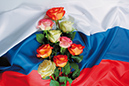 %_tempFileNameaksessuary-flowers-3548-rose-russian-flag-trikolor%