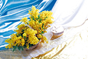 %_tempFileNameaksessuary-flowers-5857-mimoza-blue-white-gold-serdtse-podarok%