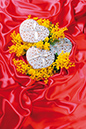 %_tempFileNameaksessuary-flowers-5871-red-mimoza-serdtse-bant%