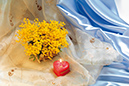 %_tempFileNameaksessuary-flowers-5886-mimoza-serdtse-svecha%