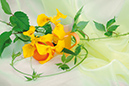 %_tempFileNameaksessuary-flowers-6231-iris-yellow-chashka-sok-dikiy-vinograd-apelsin%