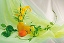 %_tempFileNameaksessuary-flowers-6258--iris-yellow-chashka-sok-dikiy-vinograd-apelsin%