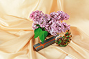 %_tempFileNameaksessuary-flowers-7647-ptitsa-schastya-siren-podarok%