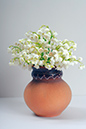%_tempFileNameflowers-white-0258-lily-of-the-valley-convallaria%
