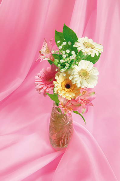 %_tempFileNameflowers-0298-gerbera-rose-background%
