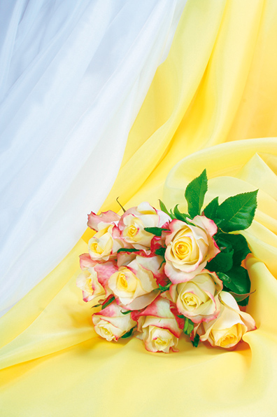 %_tempFileNameflowers-2586-rose-yellow%