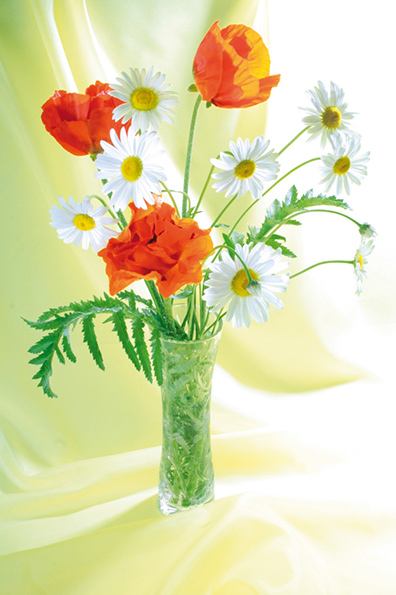 %_tempFileNameflowers-5935-mak-orange-white-romaska-yellow%