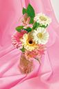%_tempFileNameflowers-0289-gerbera-rose-background%