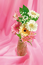 %_tempFileNameflowers-0295-gerbera-rose-background%