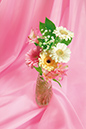 %_tempFileNameflowers-0298-gerbera-rose-background%