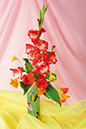 %_tempFileNameflowers-2252-nasturtsii-gladiolus-buket%