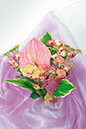 %_tempFileNameflowers-3983-roses-akhilleya-anturium-hosta-fioletoviy%