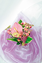 %_tempFileNameflowers-3985-roses-akhilleya-anturium-hosta-fioletoviy%