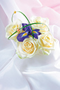 %_tempFileNameflowers-4614-white-rose-iris-bergras%