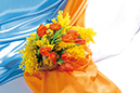 %_tempFileNameflowers-5862-8-marta-tulpan-mimoza-orange-blue%