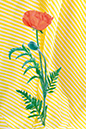 %_tempFileNameflowers-5881-mak-orange-yellow%
