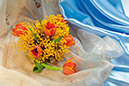 %_tempFileNameflowers-5896-8-marta-tulpan-mimoza-orange-blue%