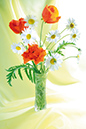 %_tempFileNameflowers-5935-mak-orange-white-romaska-yellow%