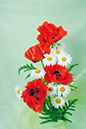%_tempFileNameflowers-5956-mak-orange-white-romaska-green%