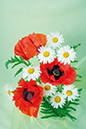 %_tempFileNameflowers-5965-mak-orange-white-romaska-green%