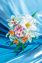 %_tempFileNameflowers-9472-lilium-regale-alstromeriya-cymbidium-blue%