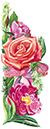 %_tempFileNameflowers1-roses-pion%