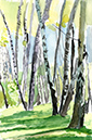 %_tempFileNamegraphic-akvarely-landscape-berezovaya-roscha%