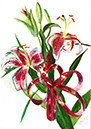 %_tempFileNamegraphic-guash-flowers-lilii%
